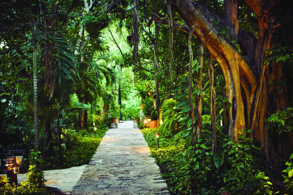 The lush jungle covered pathways of Maroma, a Belmond Hotel