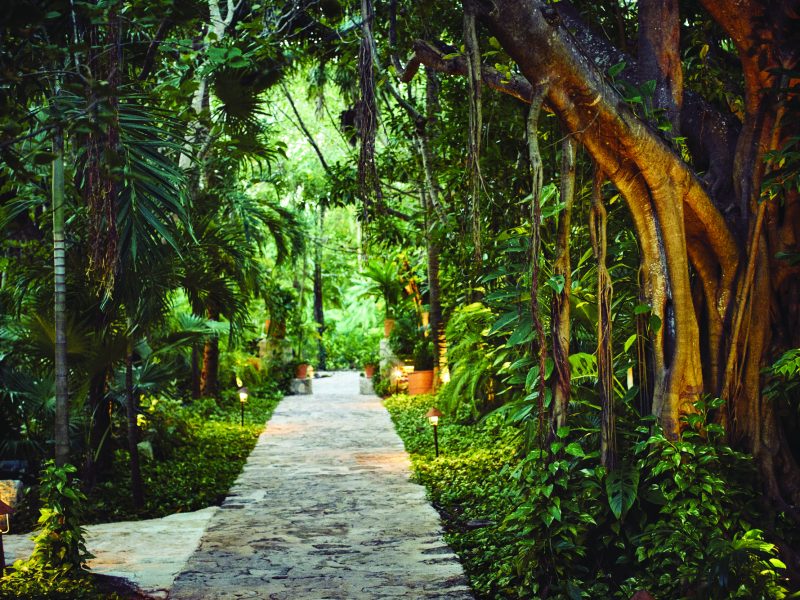 The lush jungle covered pathways of Maroma, a Belmond Hotel